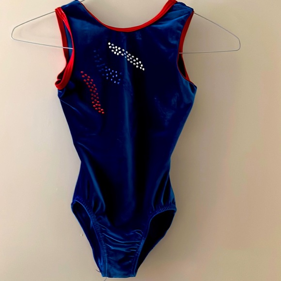 Elite Sportswear Blue Velvet Leotard - Picture 1 of 2